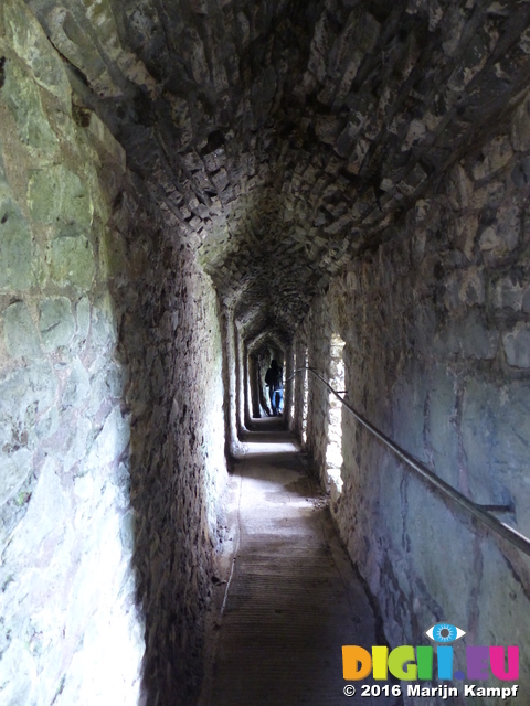 FZ025896 Pepijn in corridor to Carreg Cennen Castle cave